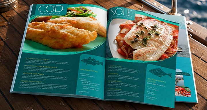 Brand identity and brochure design portfolio